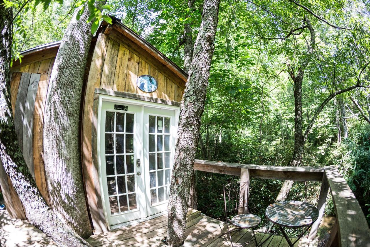 Mountain Harbour B&B Roan Mountain Екстериор снимка